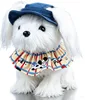 Shih Tzu - Brown