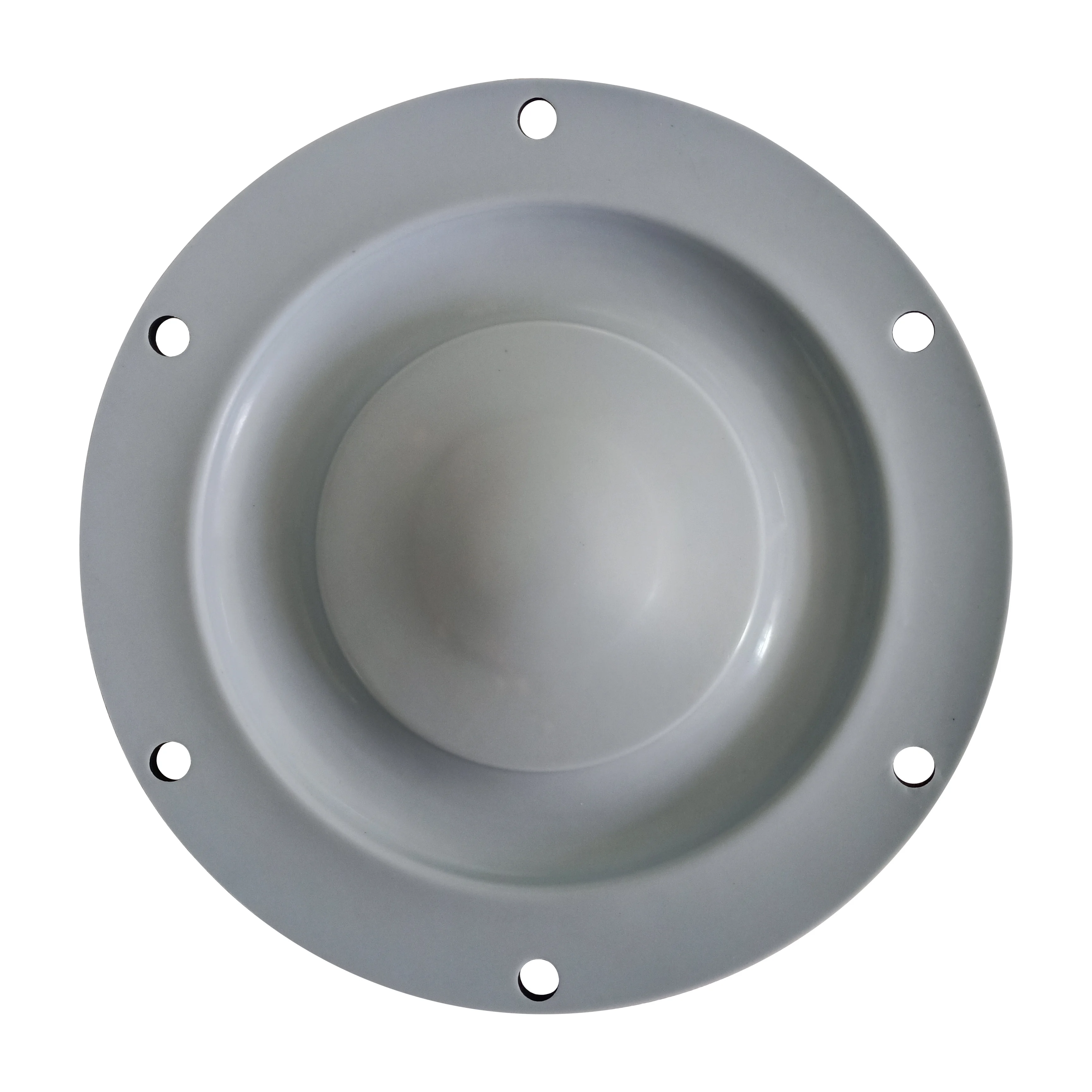 6-050-15-1 Diaphragm