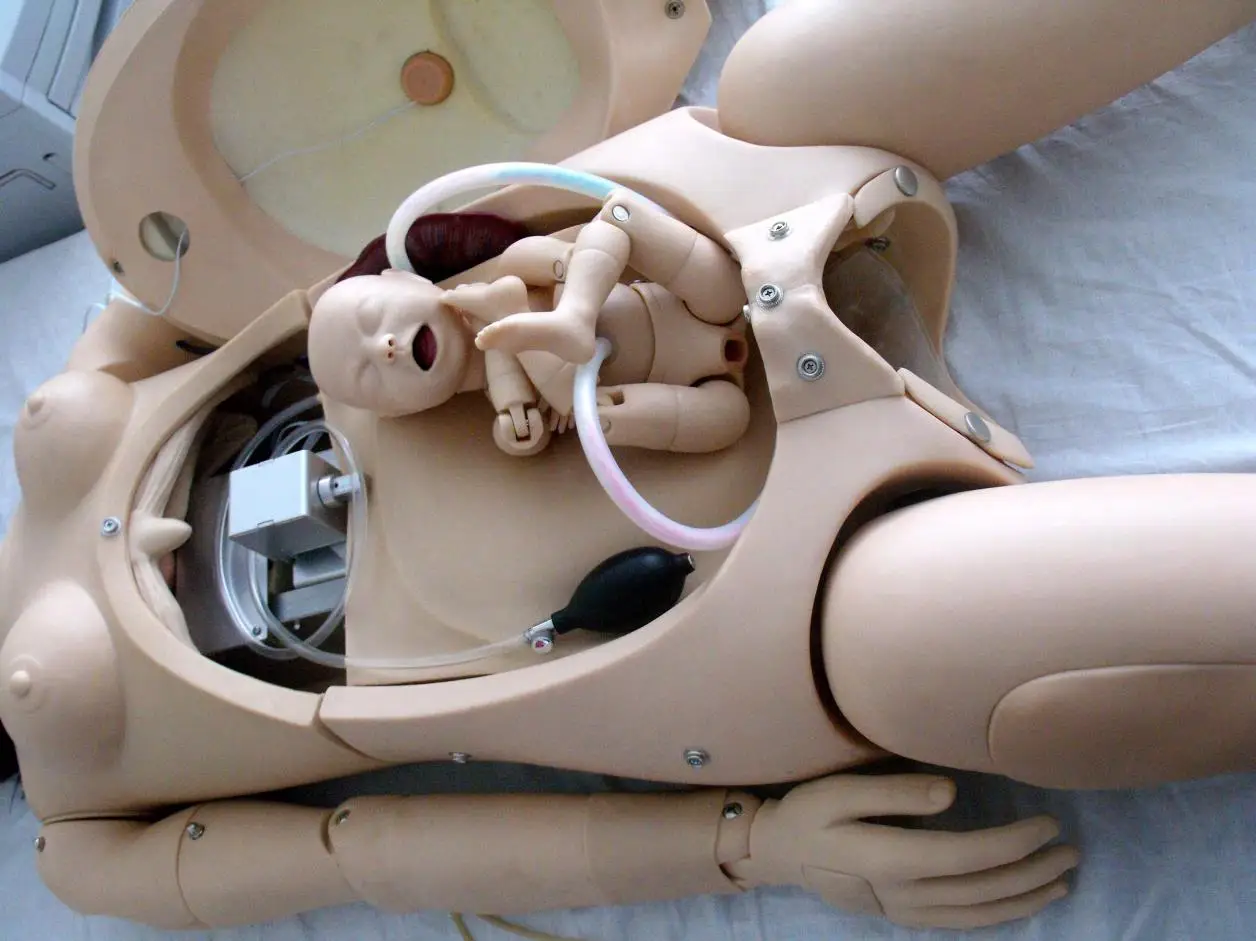 Advanced School Teaching Tool Manikin Delivery Maternal And Neonatal
