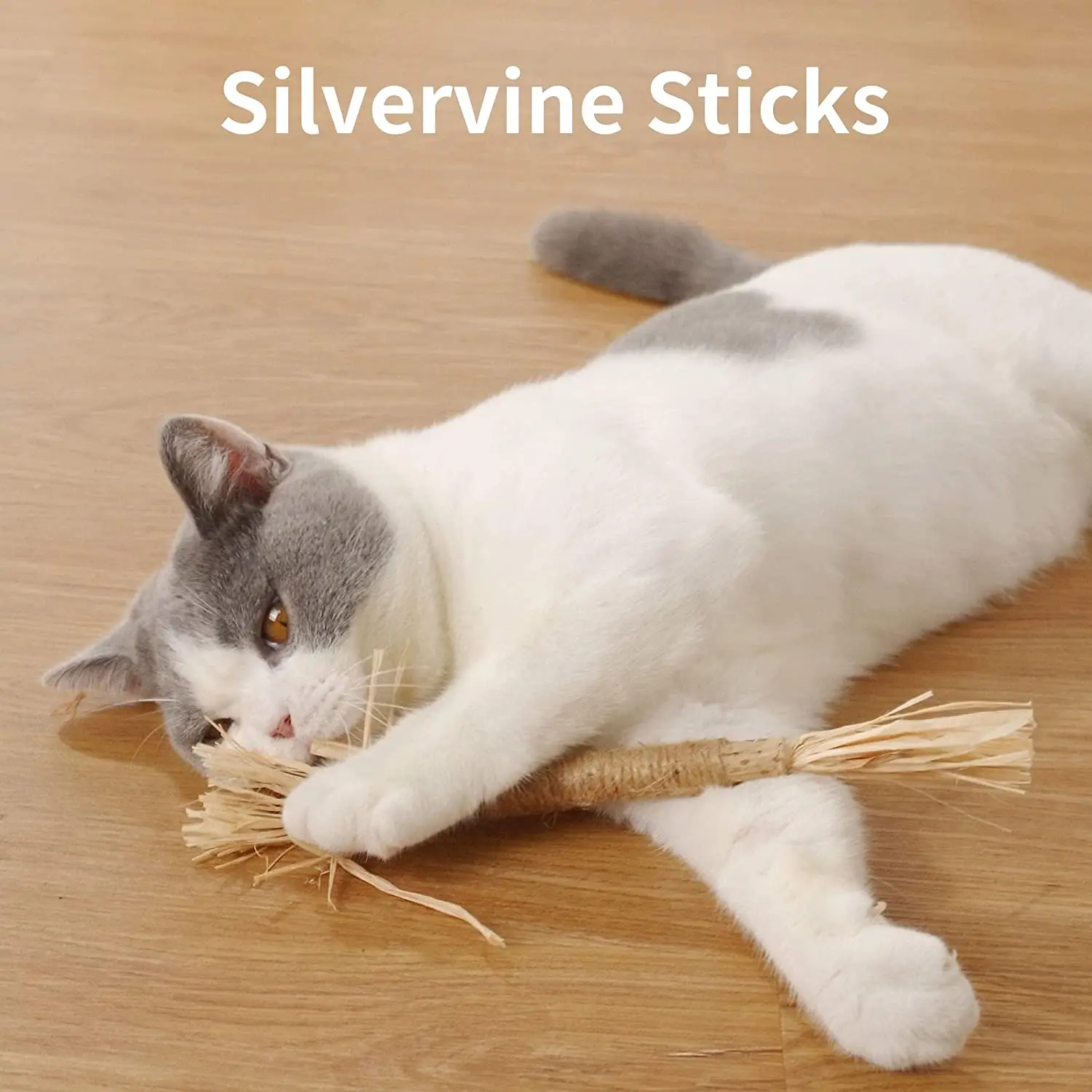 Cat Toys Natural Silvervine Sticks Catnip Cat Chew Toys For Indoor