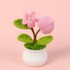 (type d) peach you love potted plant