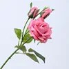Rose madder