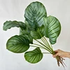 Verde blanco