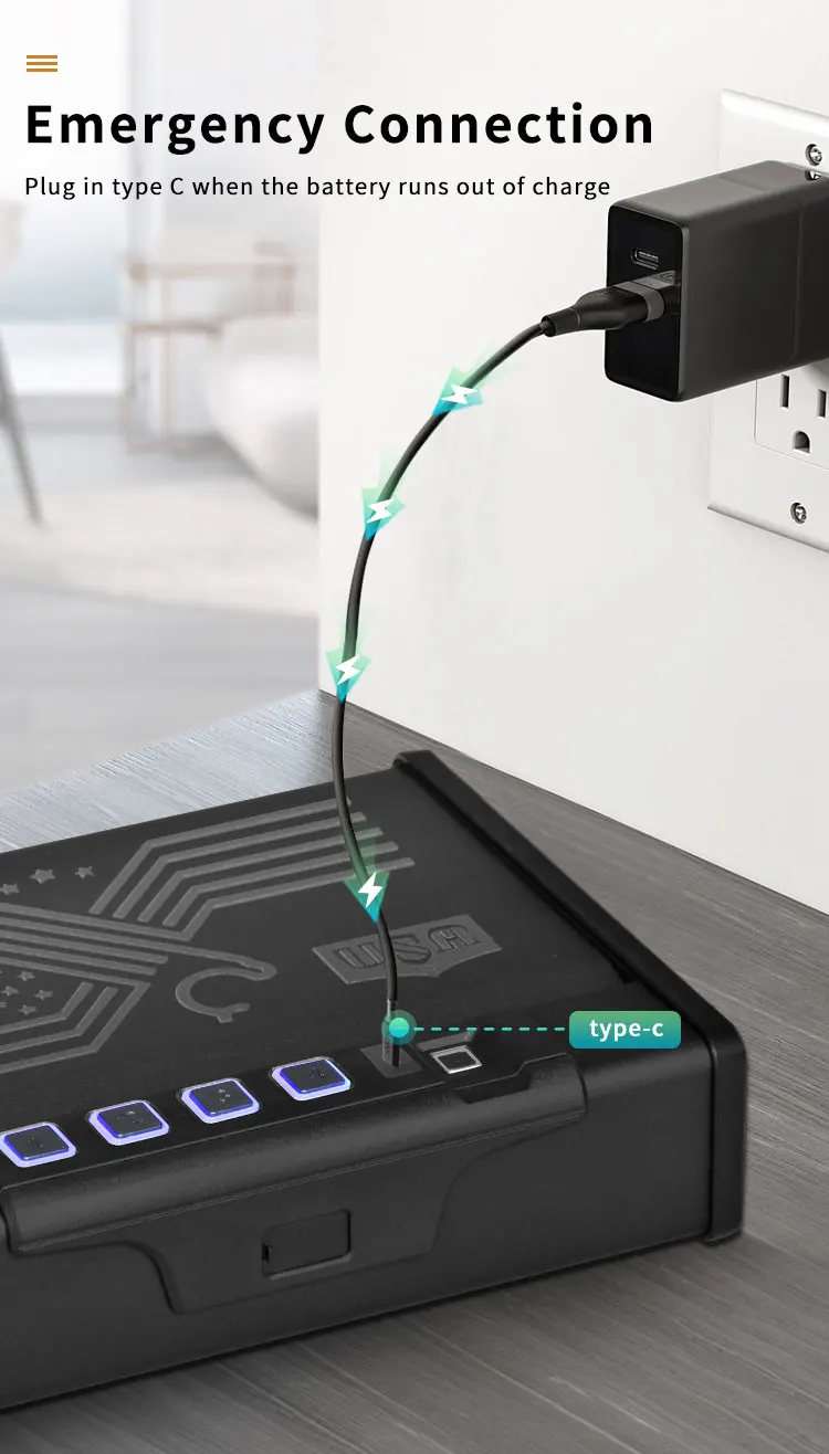 CEQSAFE New Design Digital With Biometric Gun Safe Fingerprint Safe Box for Car supplier