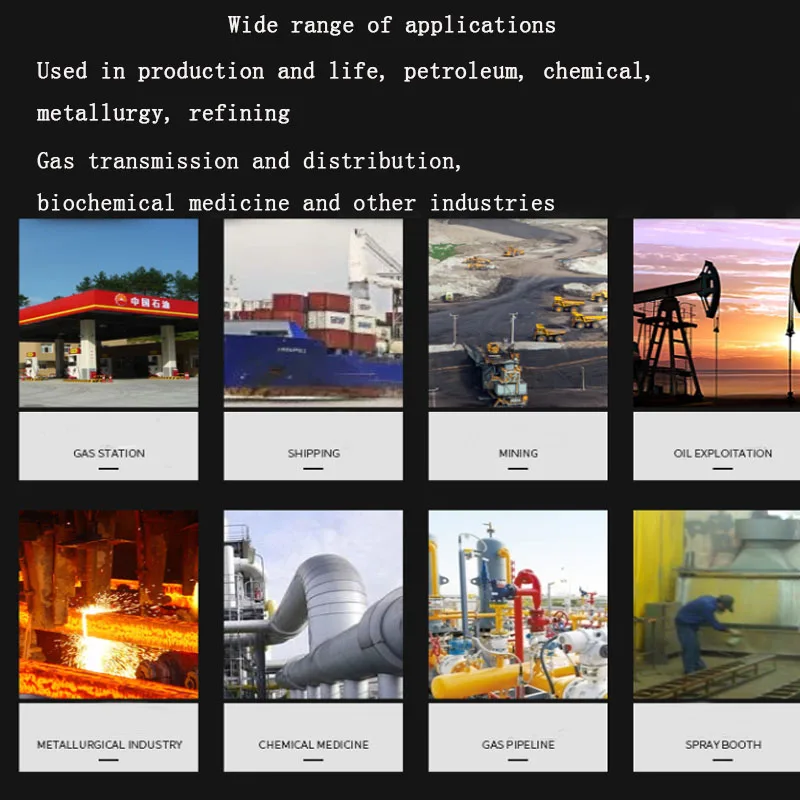 Portable Pumping 4 In 1 Alarm Gas Detector Customize For Gases Ex O2