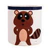 Raccoon