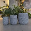 Antique Grey