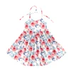 Pink Rose Floral Halter Twirl Dress