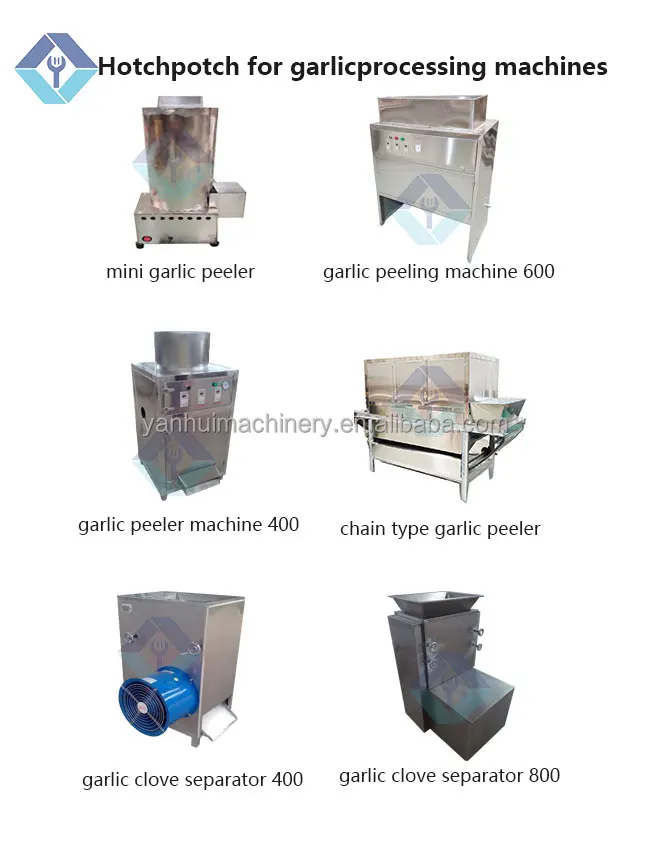 Chain Type Garlic Peeling machine with Big Capacity, 400-1000kg/hr