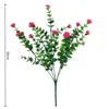 Camellia and water plants bundle 018