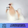 Pelo de cuerpo entero de Shih Tzu (champán y blanco)