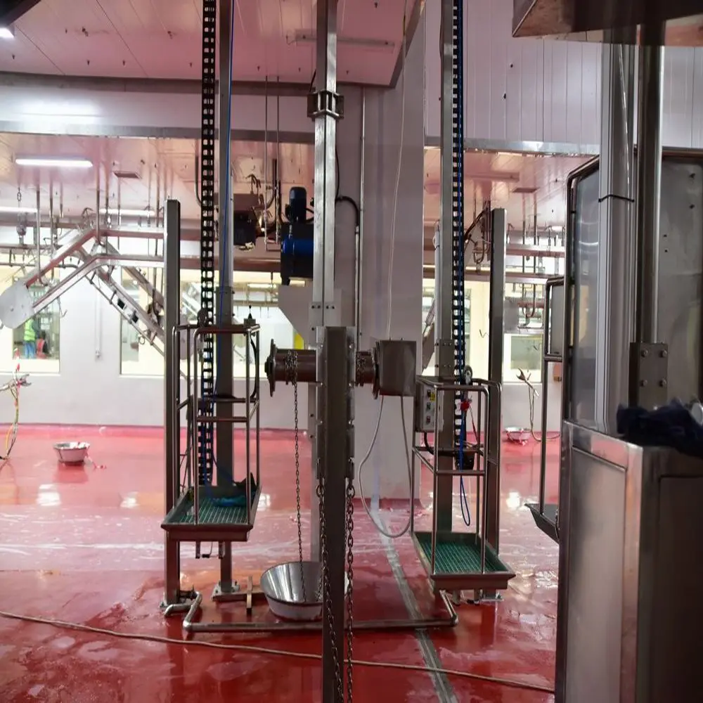 Slaughterhouse processing bull meat