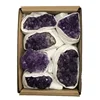 Amethyst cluster (Big)