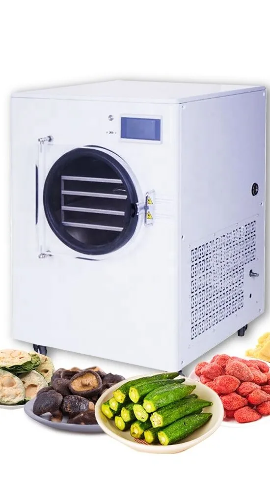 Home Small Freeze Dryer Lyophilization Vegetable Vacuum Food Drying Freeze  Dried Machine for Fruit Insect Flower Tea - AliExpress
