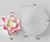 Lotus1304 White