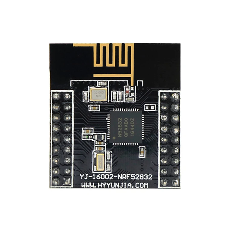 Holyiot Nrf52832 Module Supplier Ble Beacon Temperature And Humidity