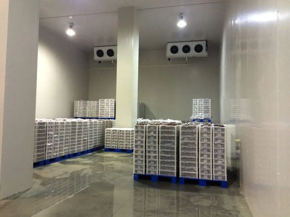 Dongan Custom Design Small and Large Walk in Fridge Cold Storage Freezer Room Freezing Cold Room for Flowers