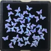 papillon3-5x3.1mm OP10