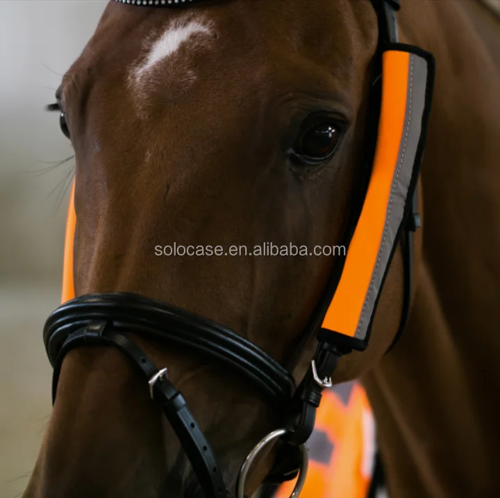 Horses Special Purpose Bags