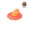 Pulpo de 21 cm (Amanecer de Nebulosa)