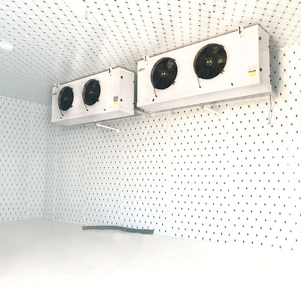 Easy Installation Walk in Vegetable Processing Plant Cold Room Cold Storage Plant Commerical Industrial Cool Rooms