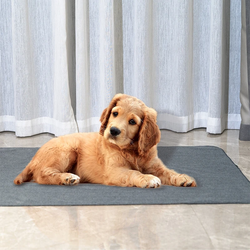 Waterproof Pet Mat Household Silicone Anti Slip Waterabsorbent Dog Cat