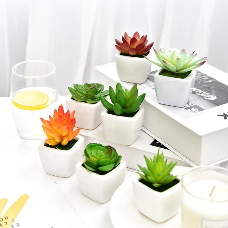 多孔盆栽陶瓷花盆容器 Buy 室内小花盆栽仙人掌空气植物芦荟宝贝 Potpremium迷你白色陶瓷多肉植物花盆套装 迷你人工多汁表product On Alibaba Com