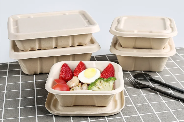 OEM ODM Biodegradable Disposable Sugarcane Bagasse Paper Pulp Mould ...