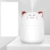 Chat blanc