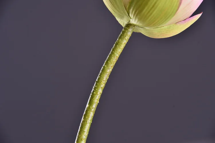 Wholesale Artificial Silk Lotus Flowers For Buddha Temple Pool Pond Home Decoration Buy Lotus