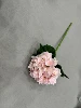 Rosa claro