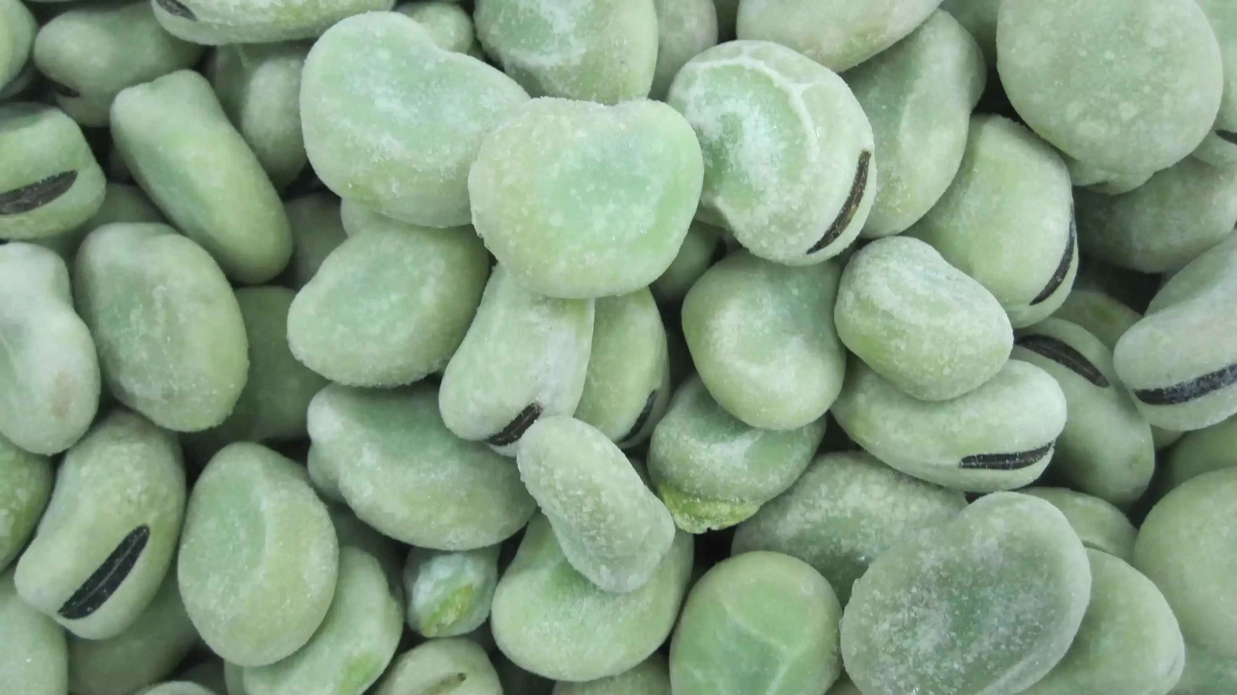 درجة أولى بازلاء مجمدة IQF مجمدة عالية الجودة متوفرة بالجملة