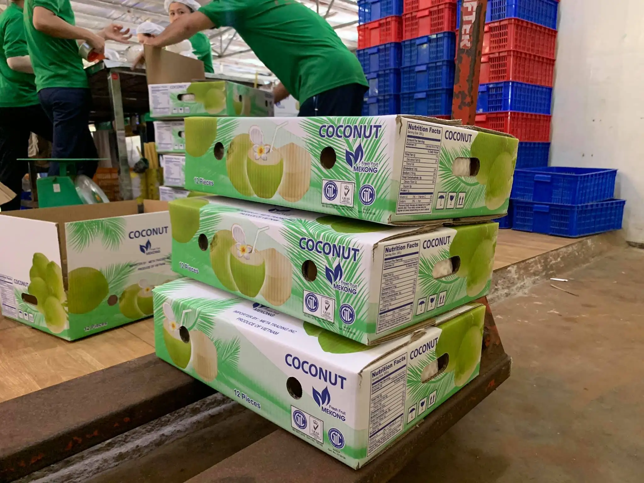 Fresh Young Coconut_ Fresh Young Green Coconut Origin In Vietnam 2022