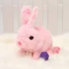 Powder rabbit-electric