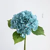 tifany blue