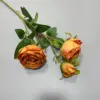 #8 rosa