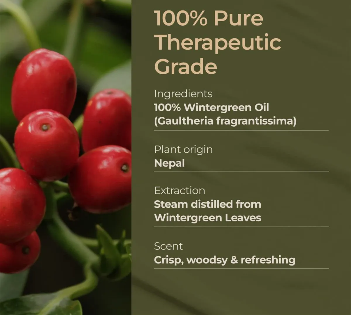 Shop 500ml 100% Pure Bulk Wintergreen Essential Oil Aromatherapy Diffuser Wintergreen Gaultheria Oil-Detailed Image 5