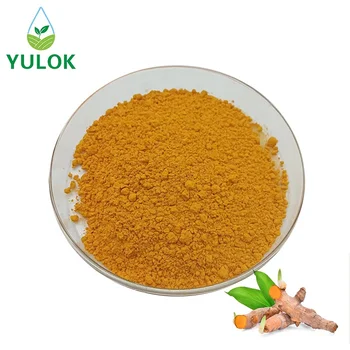 Hot Selling 100% Natural Turmeric Supplement Curcumin Extract Powder for Food