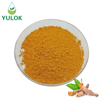 Yu Lok Supply Herbal Supplements Turmeric Root Extract Powder Curcumin Powder 95%