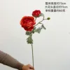 Yijing Ranunculus [orange-red]