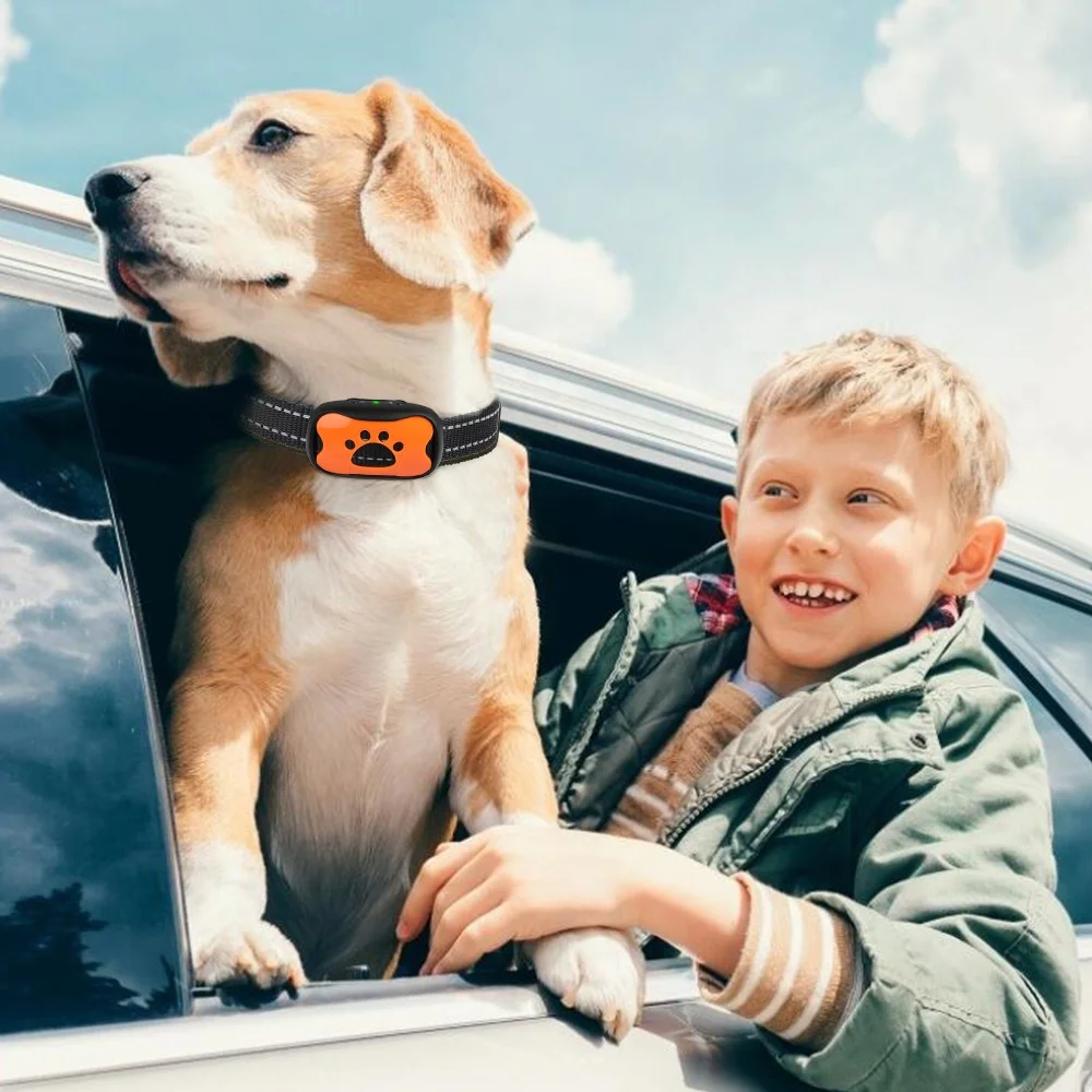 Amazon Top-Seller Batteriebetriebenes Vibrations-Hundehalsband Ohne Schock  Anti-Bell-Halsband Mit Intelligenter Bellkontrolle| Alibaba.com