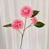 Rosa oscuro