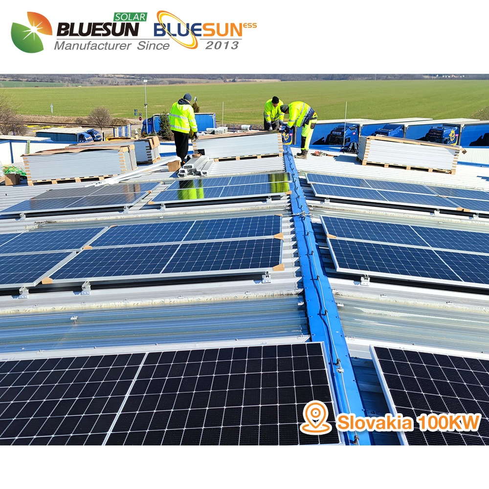 Bluesun Complete Set Bluesun Solar Panel Inverter 12kw Solar Power Hybrid Inverter for Bulgaria Market