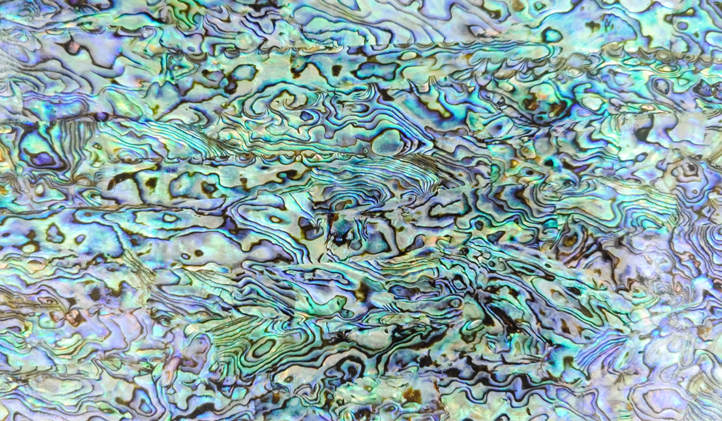 アワビ　シェルシート　165枚セット 在庫限り アワビ シェルシート 165枚セット 在庫限り Shell Art(シェルアート