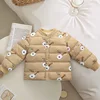 Orso di violino kaki