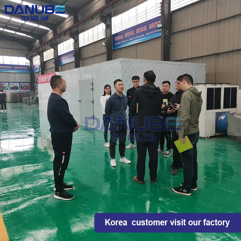 Drying Machine for Garlic Ginger Garlic Slice Dryer Machine Ginger Slice Dryer Machine