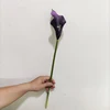 violet foncé YL80450