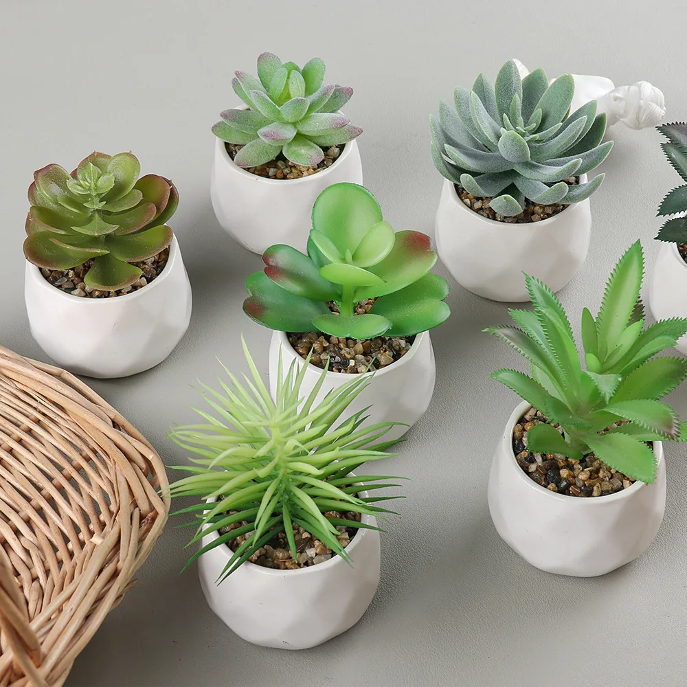 Indoor Outdoor Garden Ornament Faux Cactus Mini Assorted High Simulated  Small Artificial Succulent Plant in Ceramic Glass Pots| Alibaba.com