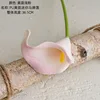 Yellow flower light pink