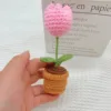 Mini planta en maceta de tulipán rosa terminada